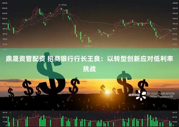 鼎晟资管配资 招商银行行长王良：以转型创新应对低利率挑战