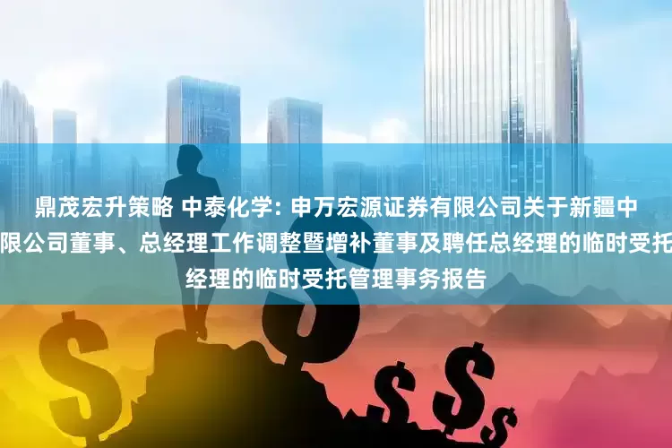 鼎茂宏升策略 中泰化学: 申万宏源证券有限公司关于新疆中泰化学股份有限公司董事、总经理工作调整暨增补董事及聘任总经理的临时受托管理事务报告