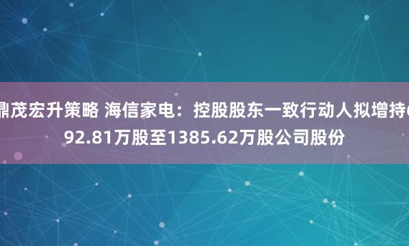 鼎茂宏升策略 海信家电：控股股东一致行动人拟增持692.81万股至1385.62万股公司股份