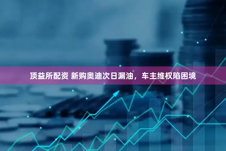 顶益所配资 新购奥迪次日漏油，车主维权陷困境