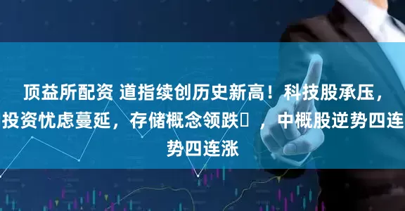 顶益所配资 道指续创历史新高！科技股承压，AI投资忧虑蔓延，存储概念领跌​，中概股逆势四连涨